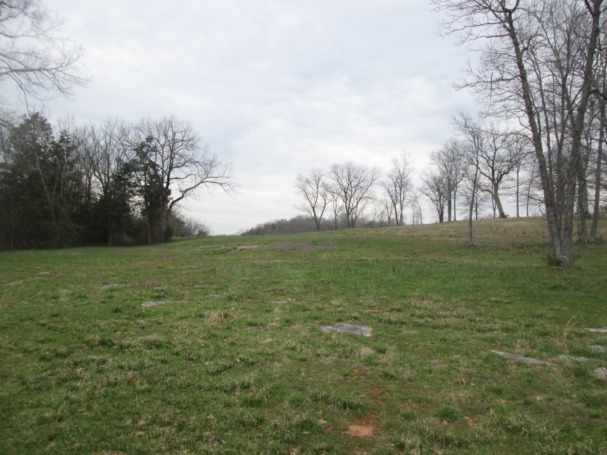 1 Bond Road Lebanon, TN 37090 - Photo 5 of 9 a view of grassy field with trees