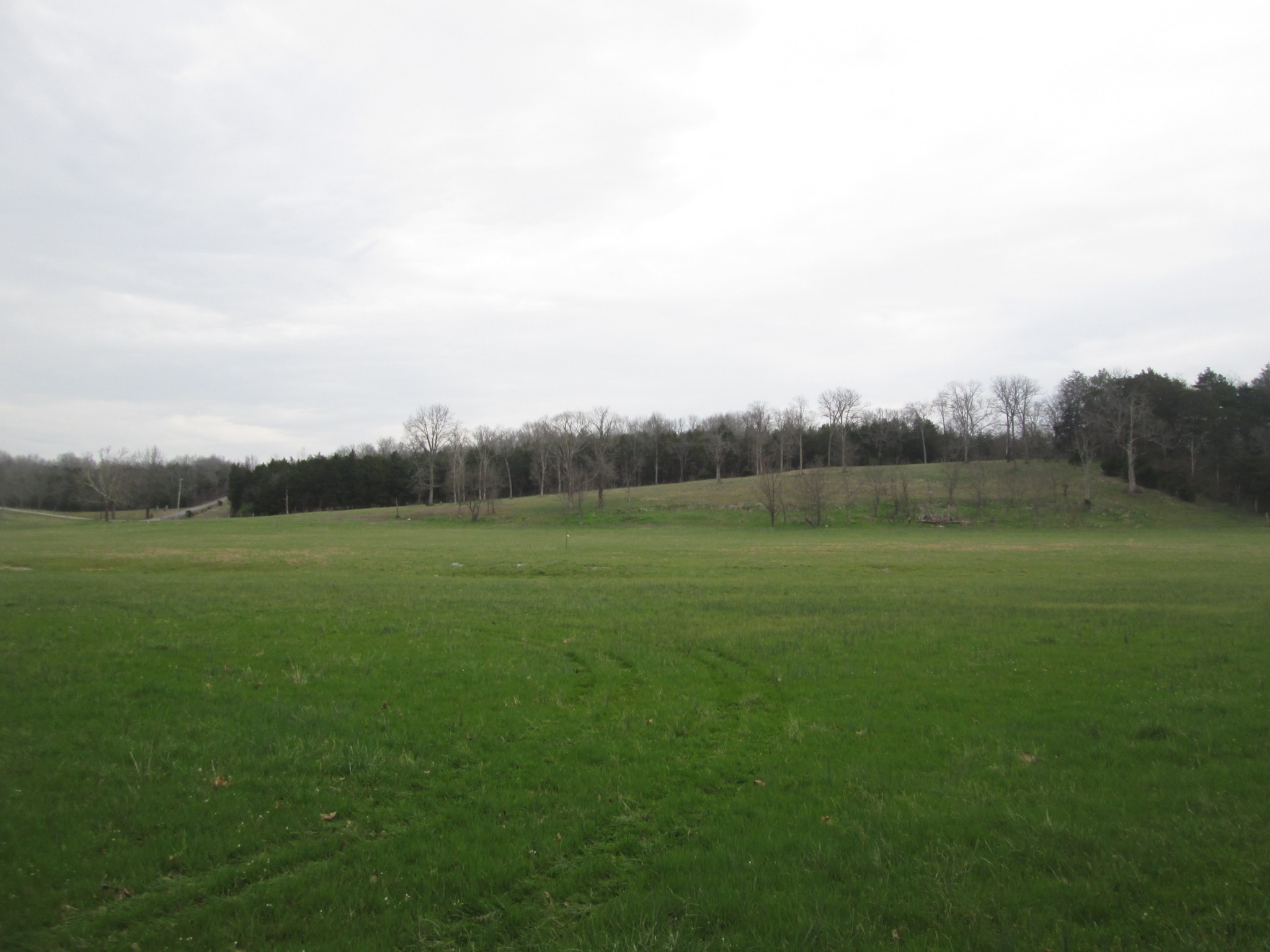 1 Bond Road Lebanon, TN 37090 - Photo 7 of 9 a view of field with river in the background