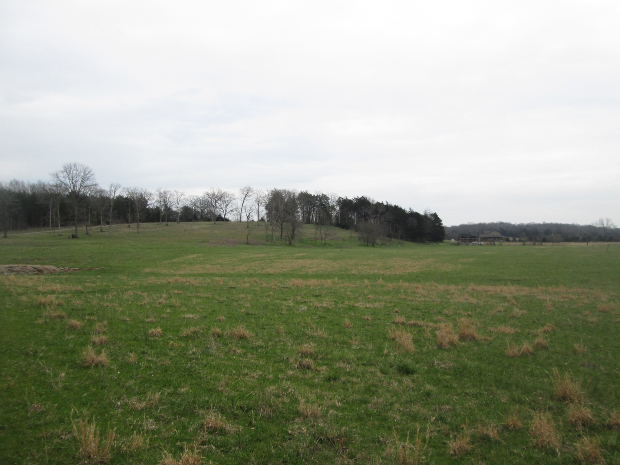 1 Bond Road Lebanon, TN 37090 - Photo 8 of 9 a view of grassy field with trees