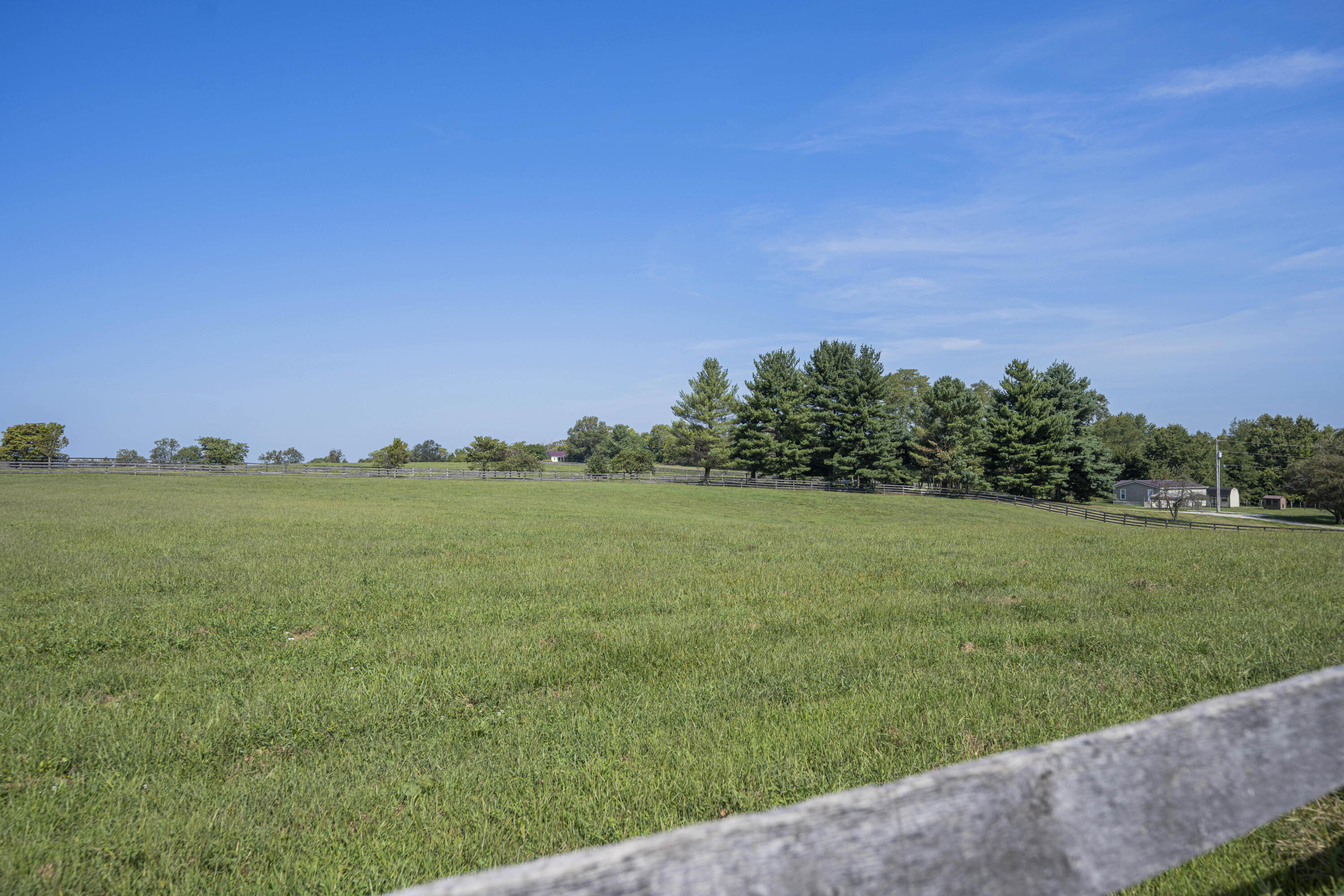 307 Stone Road Georgetown, KY 40324 - Photo 101 of 115 20240827-307-Stone-Rd-tem-020