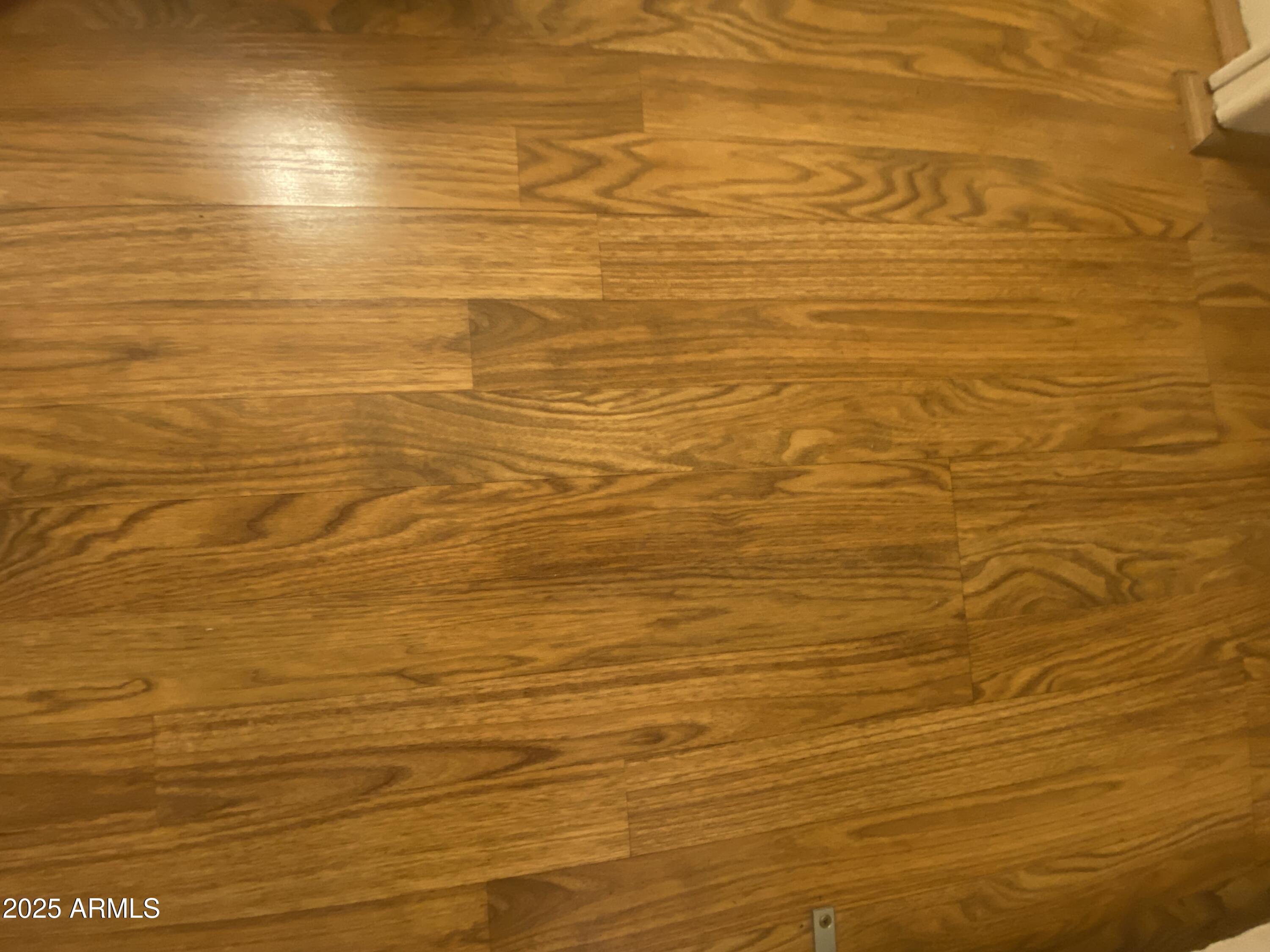 1135 South Sioux Drive Apache Junction, AZ 85119 - Photo 5 of 33 IMG_5241