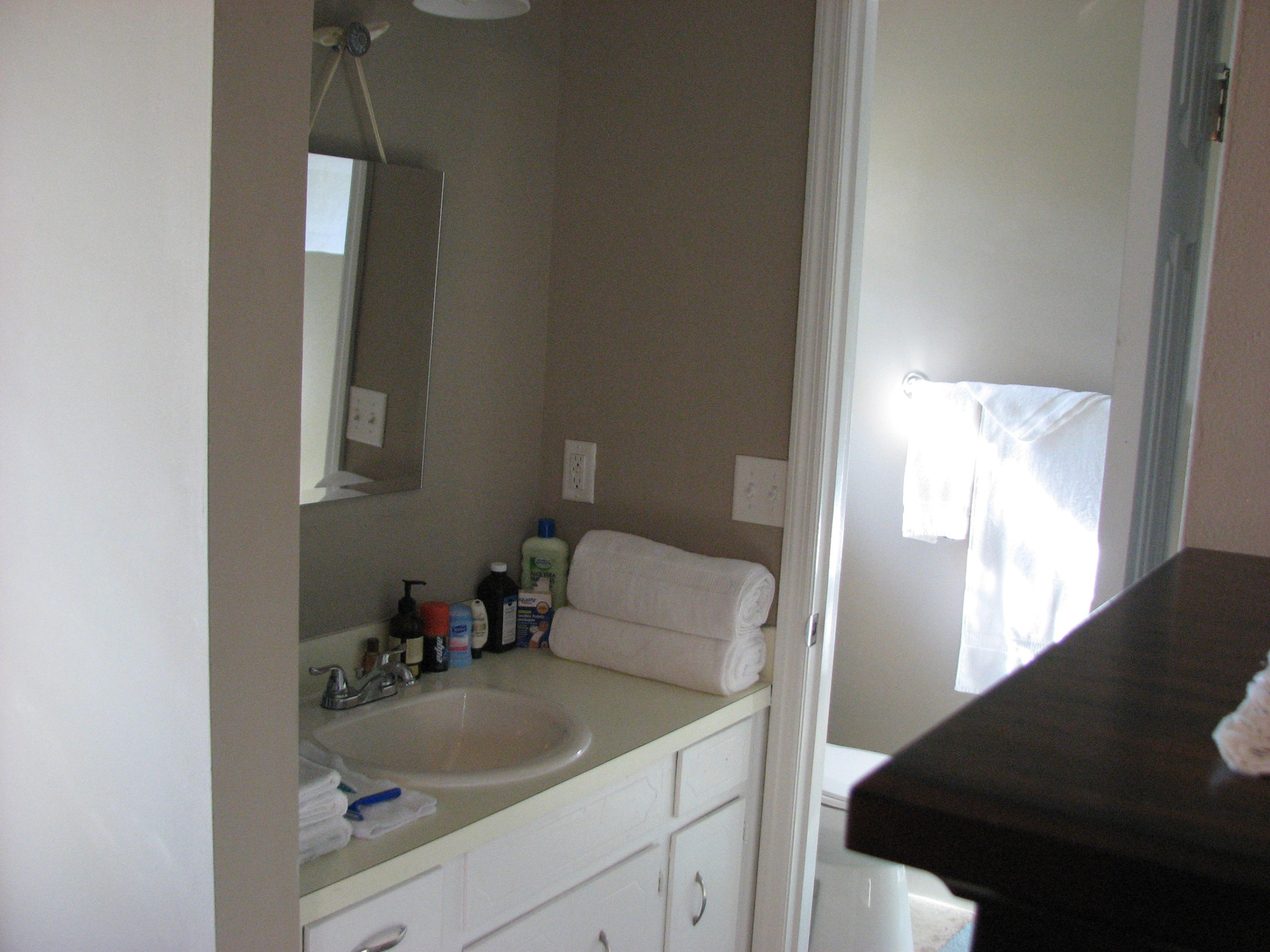 810 Beauregard Road Summerville, SC 29486 - Photo 16 of 30 Master bath