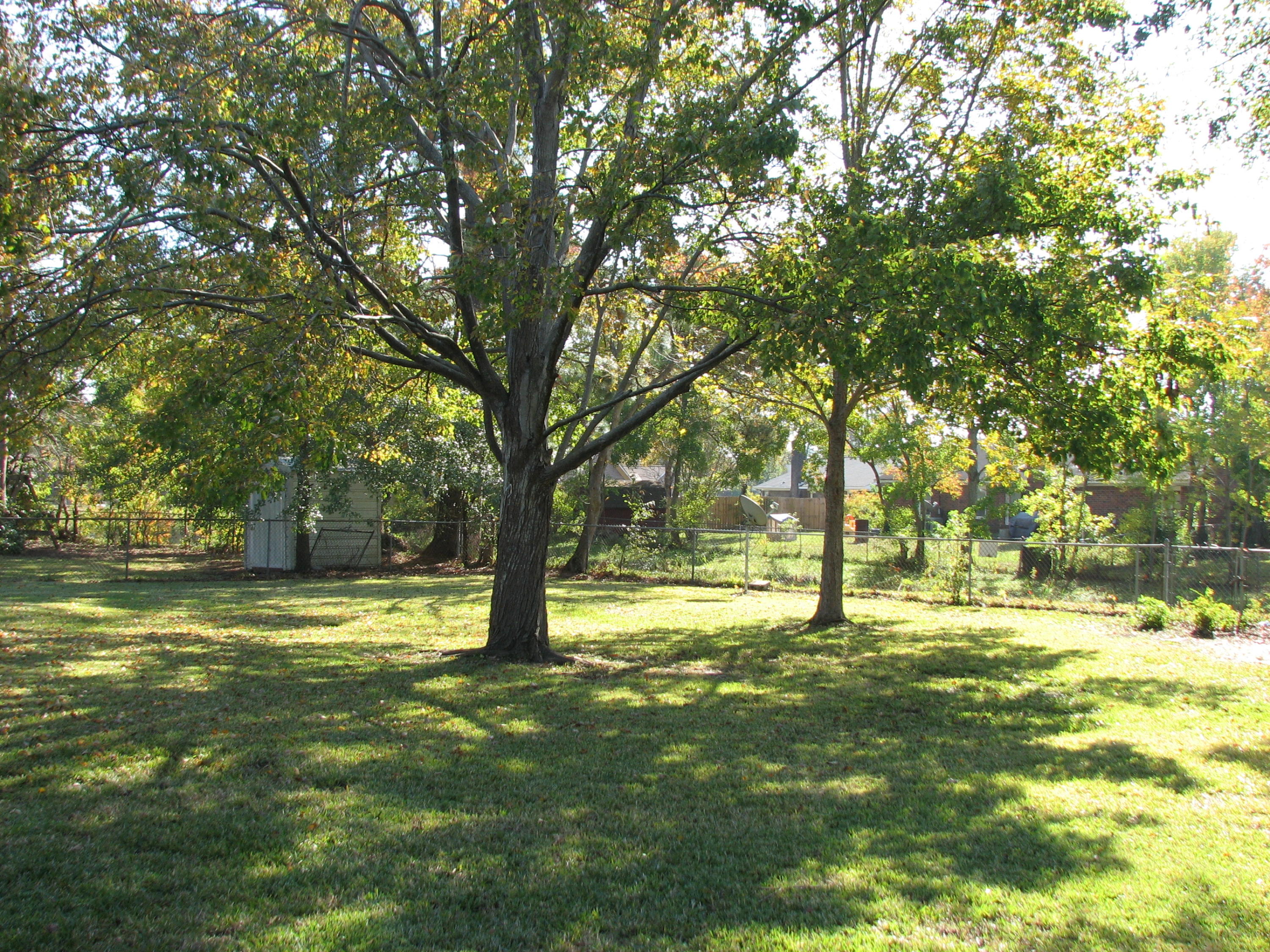 810 Beauregard Road Summerville, SC 29486 - Photo 3 of 30 Back yard