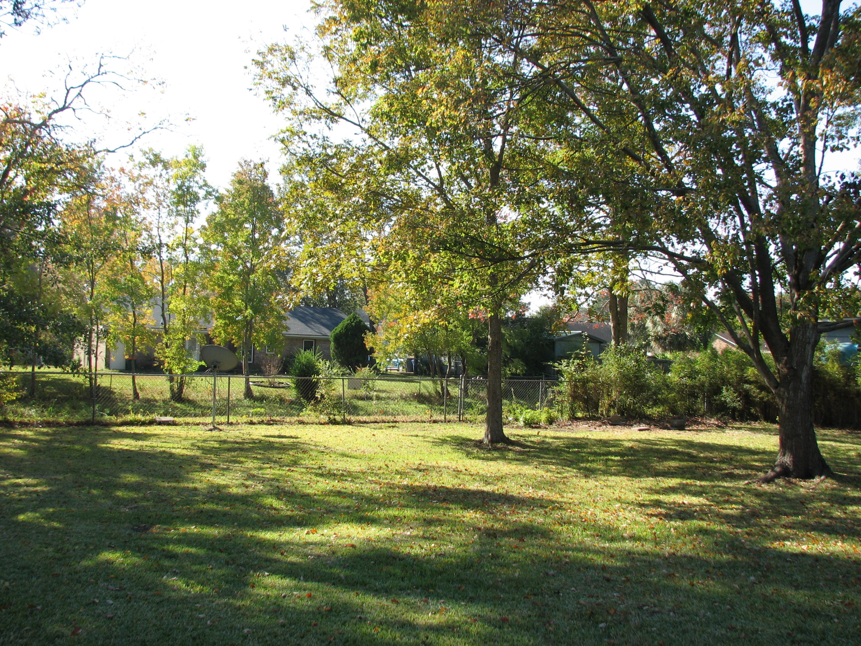 810 Beauregard Road Summerville, SC 29486 - Photo 4 of 30 Back yard