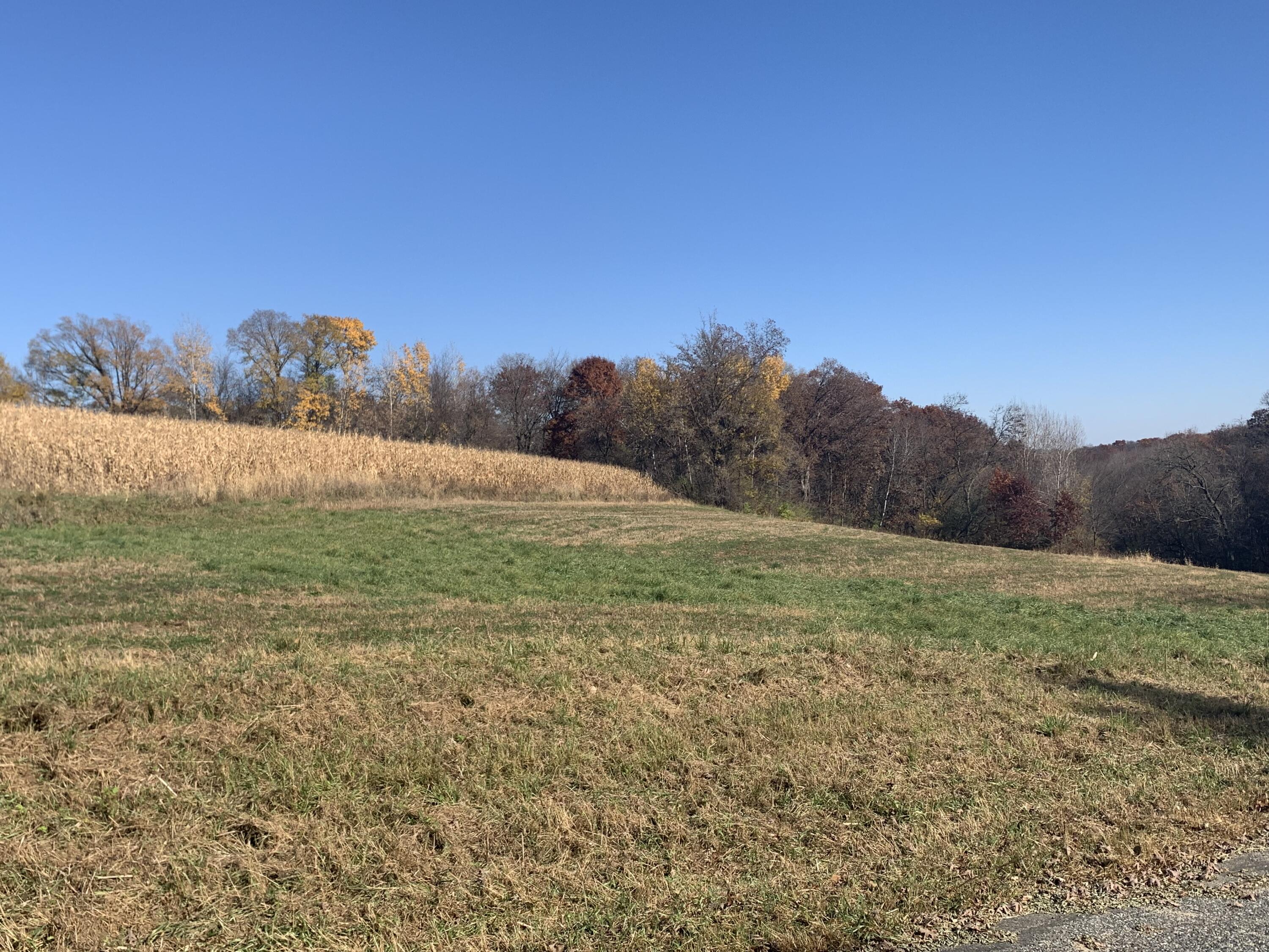 0 Nottingham Ridge Road Viroqua, WI 54665 - Photo 1 of 1 IMG_5016