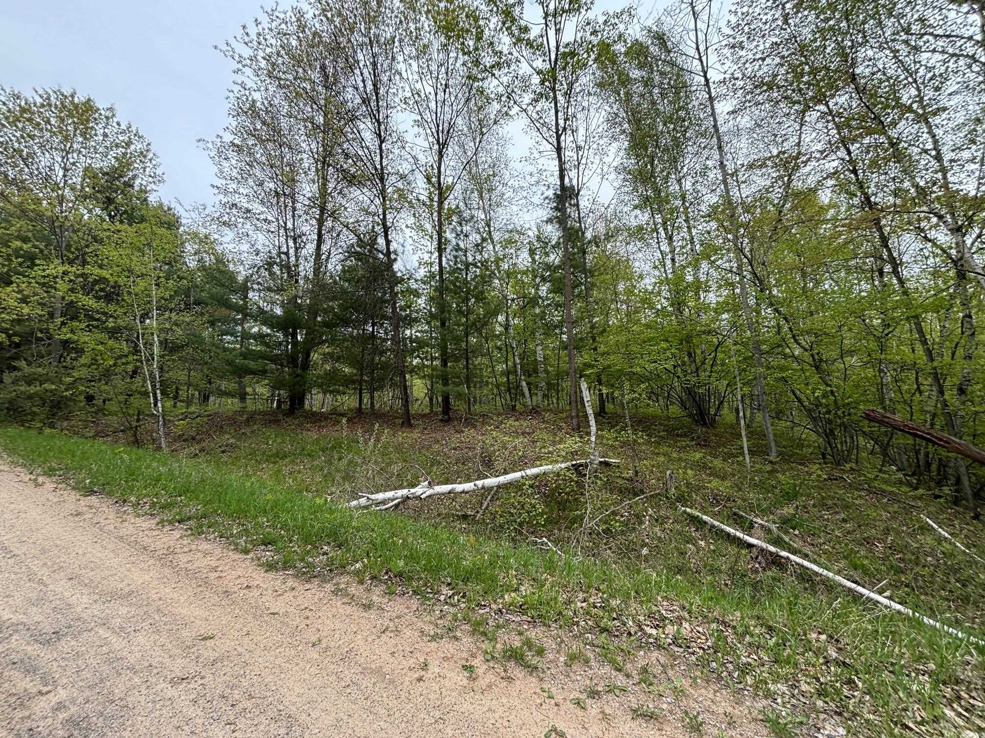 1240 Birch Ridge Road Gladwin, MI 48624 - Photo 34 of 41