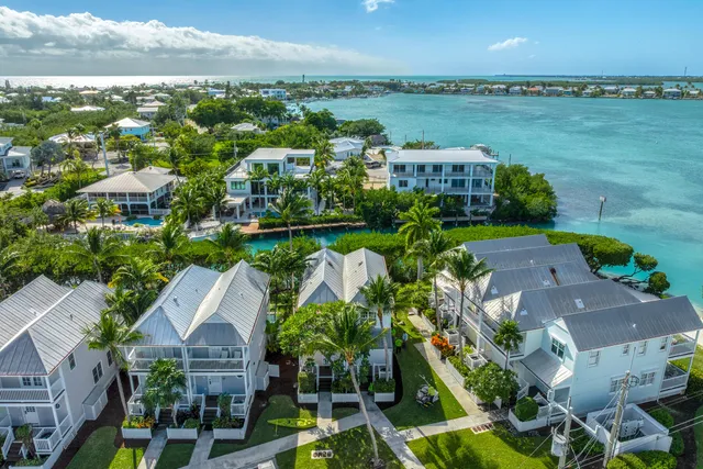 a view of a garden with plants