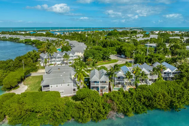 an aerial view of residential house with outdoor space and trees all around