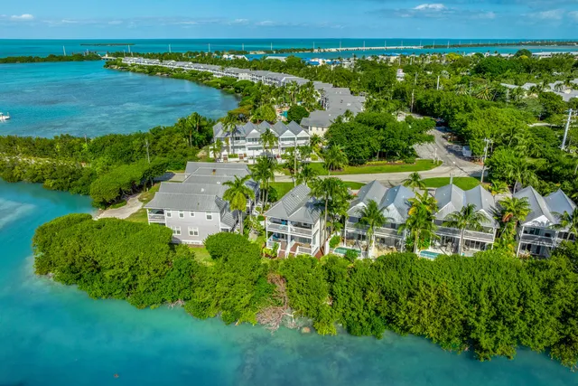 an aerial view of residential houses with outdoor space and trees