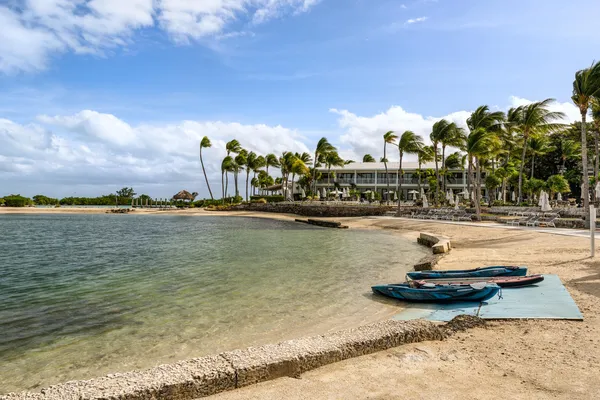 a potted plant sitting in front of a building