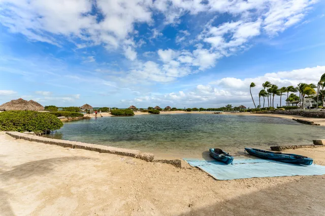 a front view of a house with a yard and a large tree