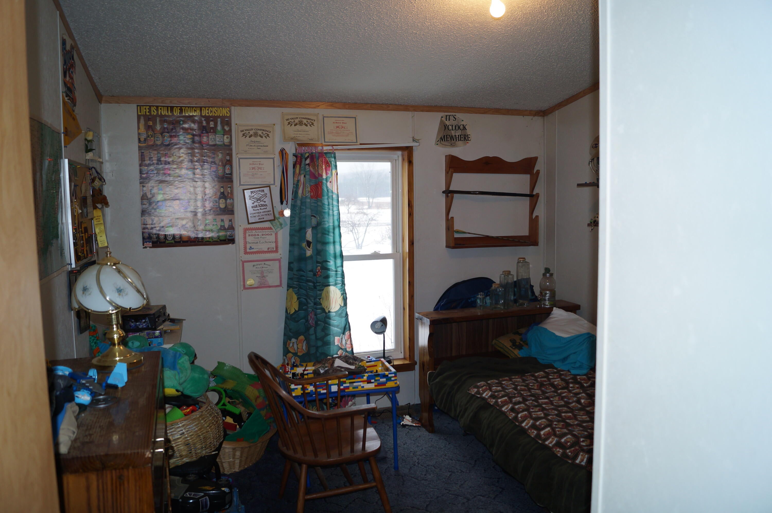 1108 West Van Road Pellston, MI 49769 - Photo 9 of 17 Gallery Image 9