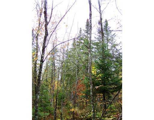 700 Butterfield Ridge Road Lincoln, ME 04457 - Photo 3 of 12 Land/Lot.