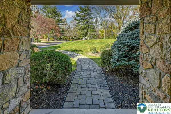 a view of a yard with plants