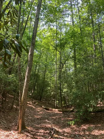 a view of outdoor space and yard