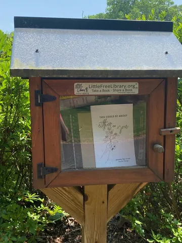 a view of a yard with plants and large trees