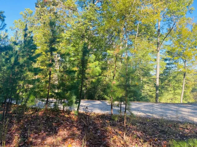 a view of a yard with a house