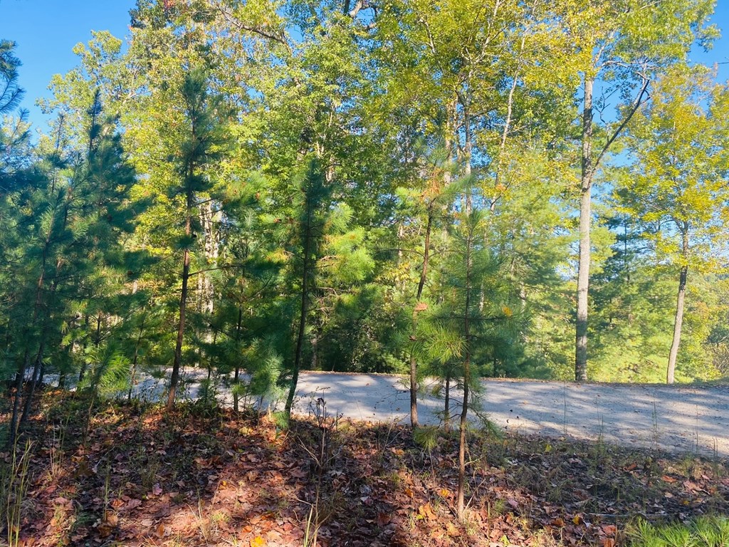 Lot 34 Point Overlook Trail Murphy, NC 28906 - Photo 8 of 17 a view of a yard with plants and trees