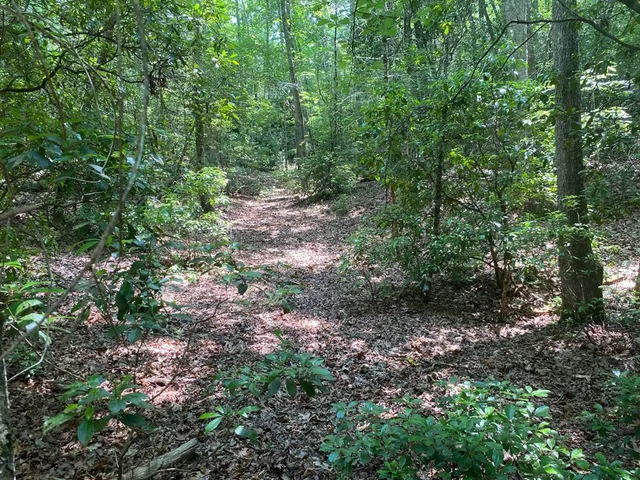 a view of outdoor space and trees