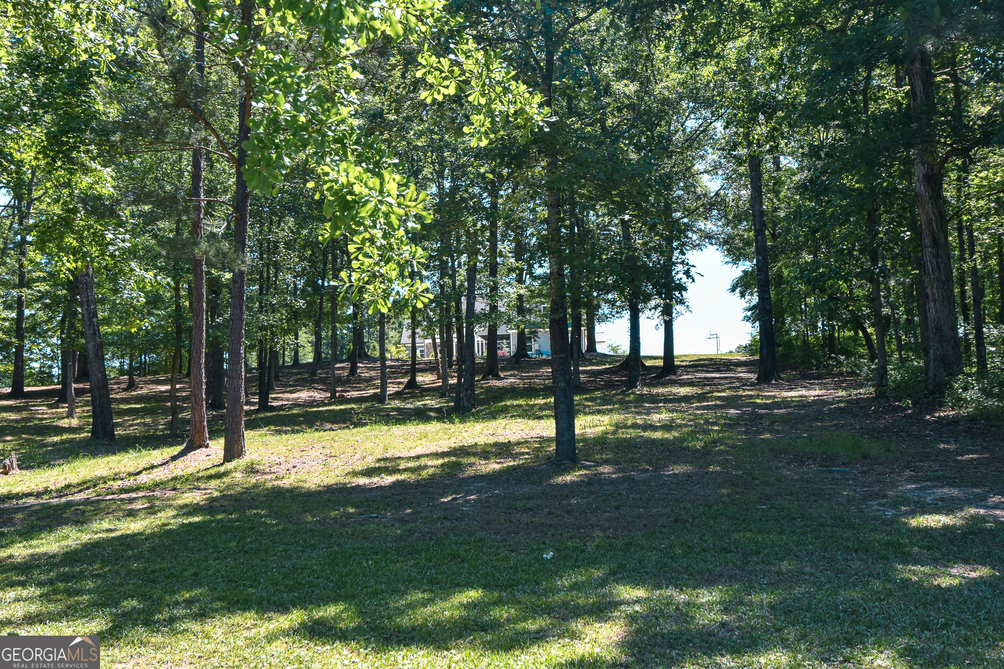 345 Huff Creek Road Williamson, GA 30292 - Photo 112 of 131 Gallery Image 112