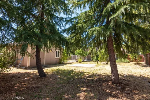 a swimming pool with trees in front of it
