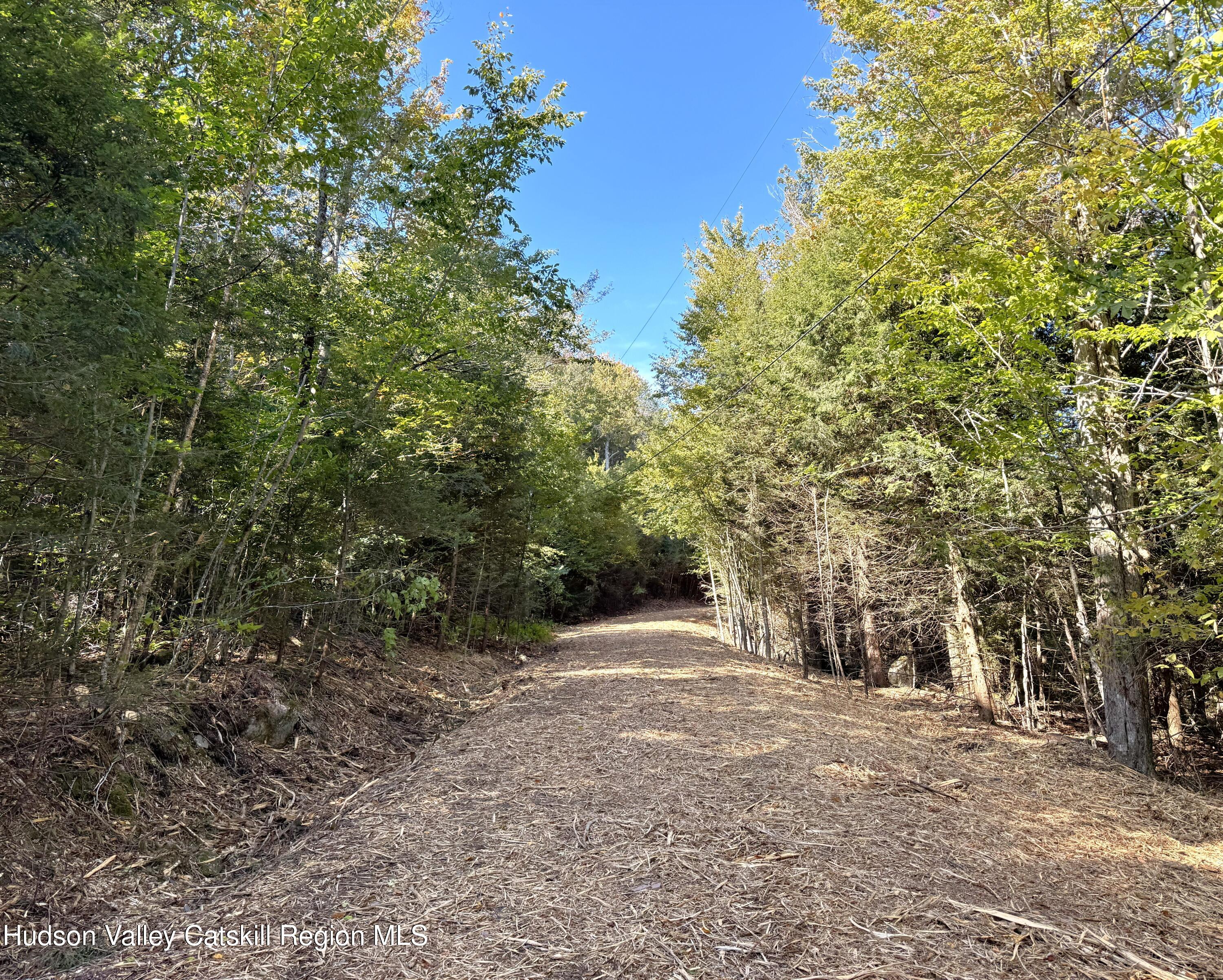 15 Corfu Road Elka Park, NY 12427 - Photo 25 of 29 IMG_2106