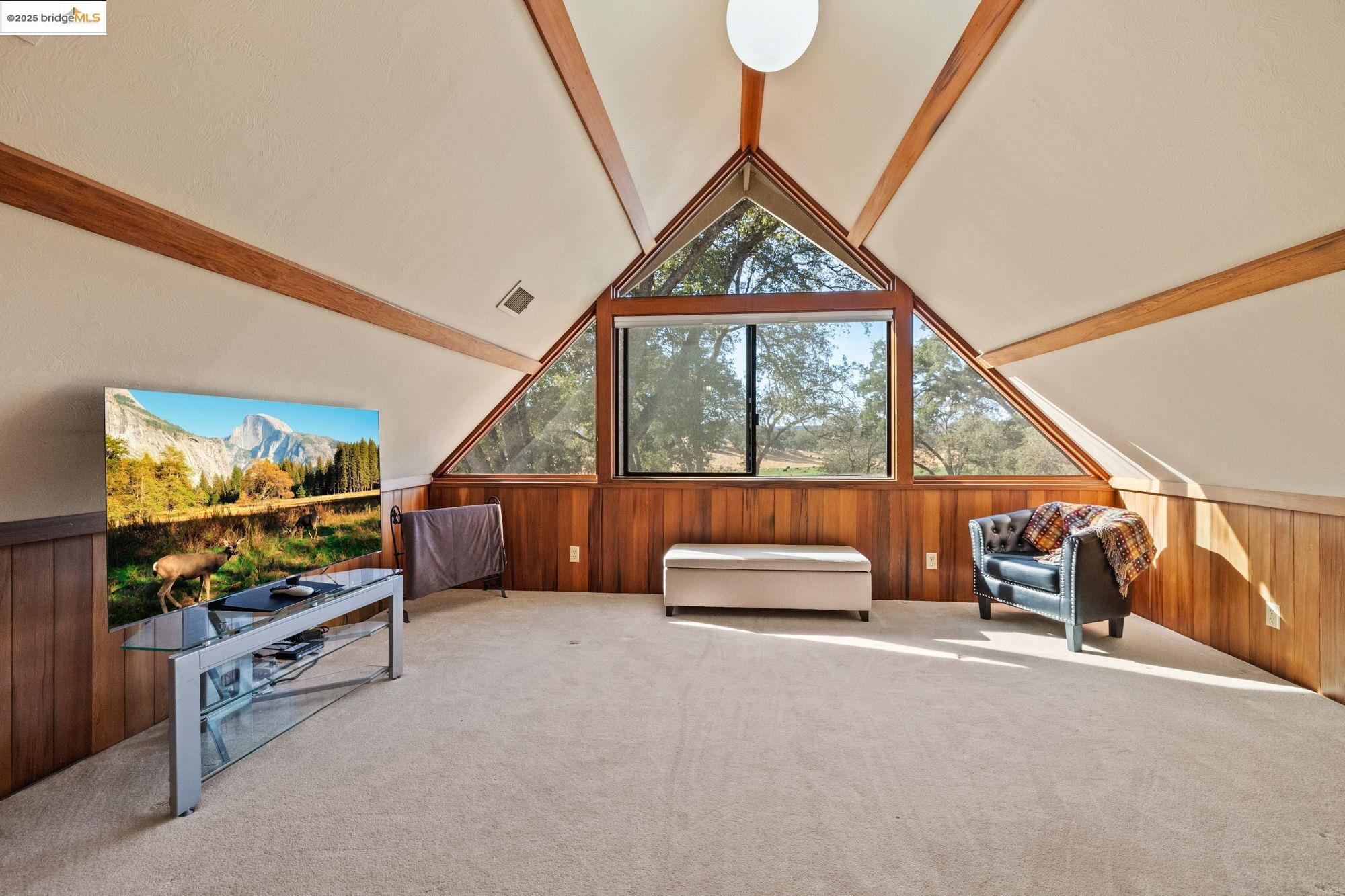 10566 Thistle Down Road Jamestown, CA 95327 - Photo 24 of 53 Living room featuring wooden walls, carpet, and wainscoting