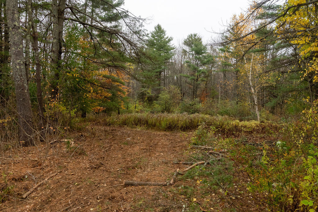 Lot #1 Huntington Hill Road Litchfield, ME 04350 - Photo 17 of 18 DSC_3658-HDR