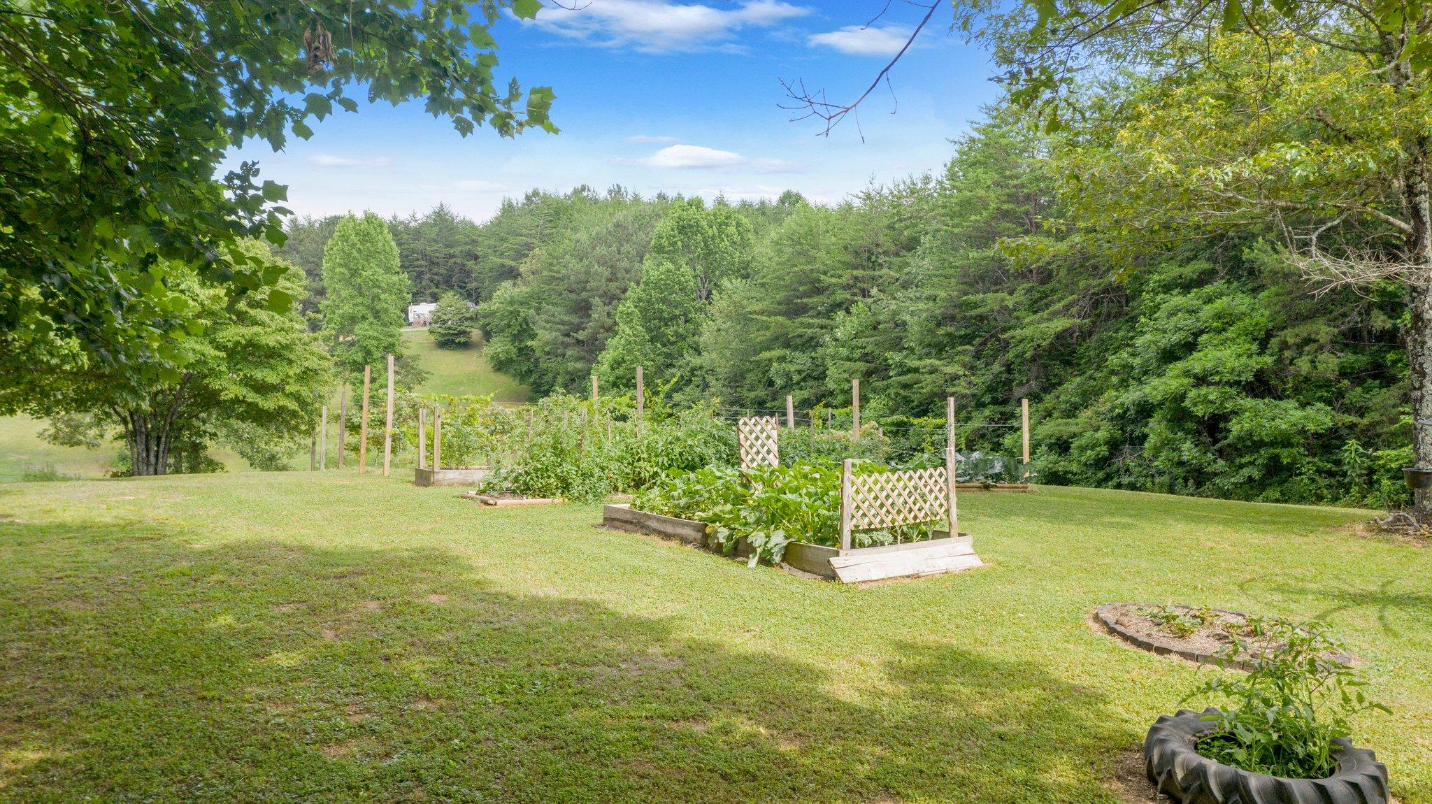 1678 Reliance Road Tellico Plains, TN 37385 - Photo 30 of 50 30