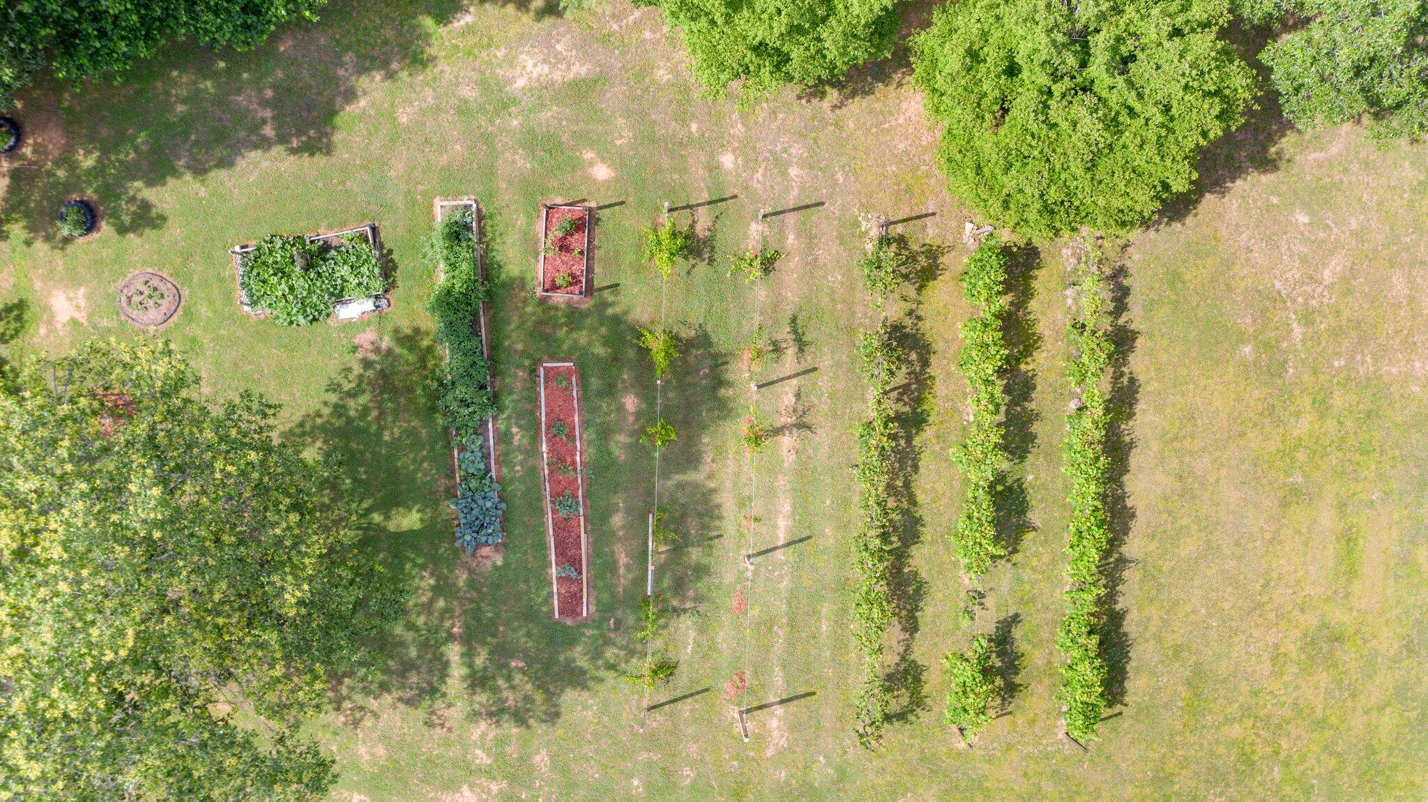 1678 Reliance Road Tellico Plains, TN 37385 - Photo 31 of 50 31