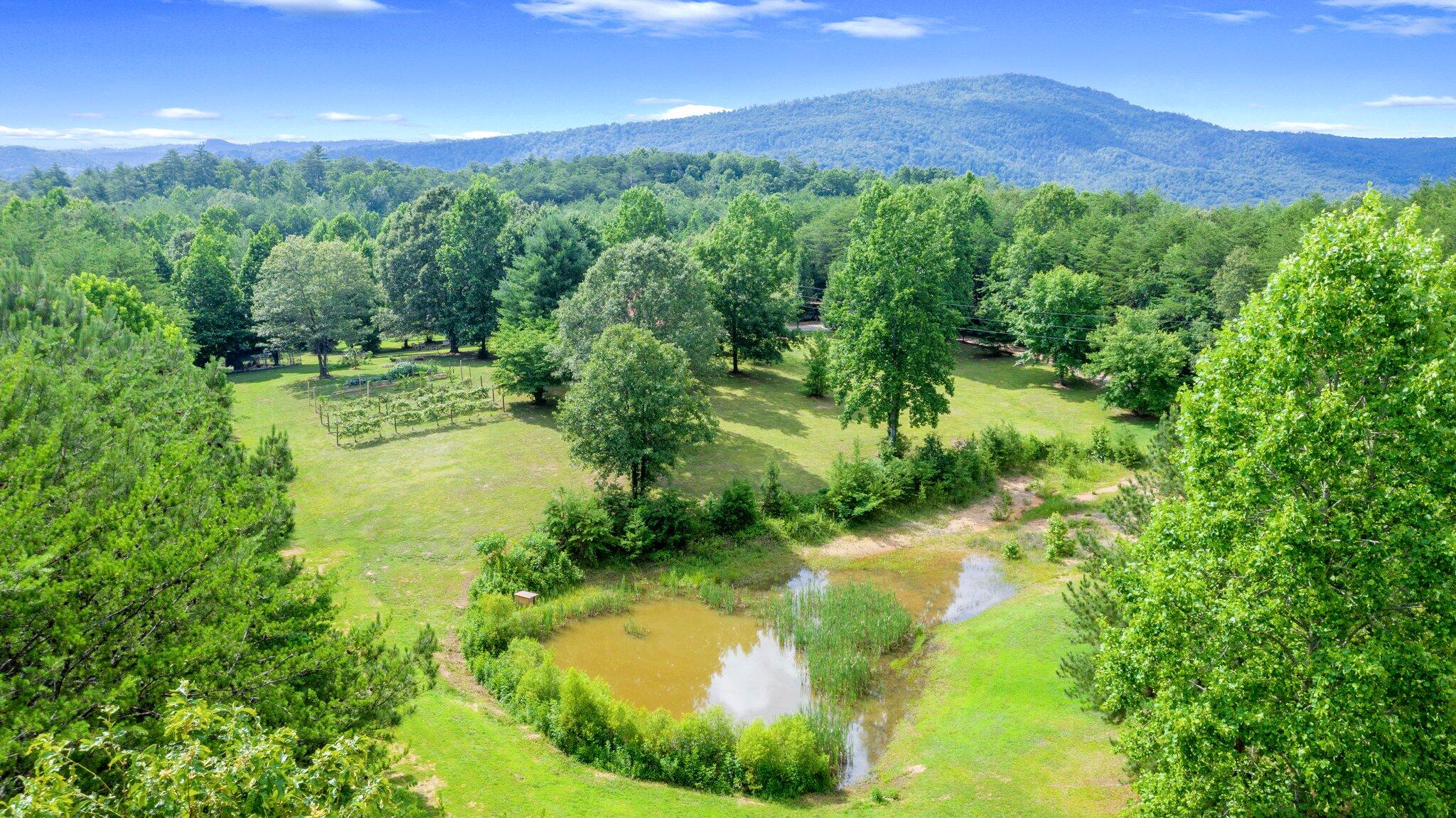 1678 Reliance Road Tellico Plains, TN 37385 - Photo 33 of 50 33