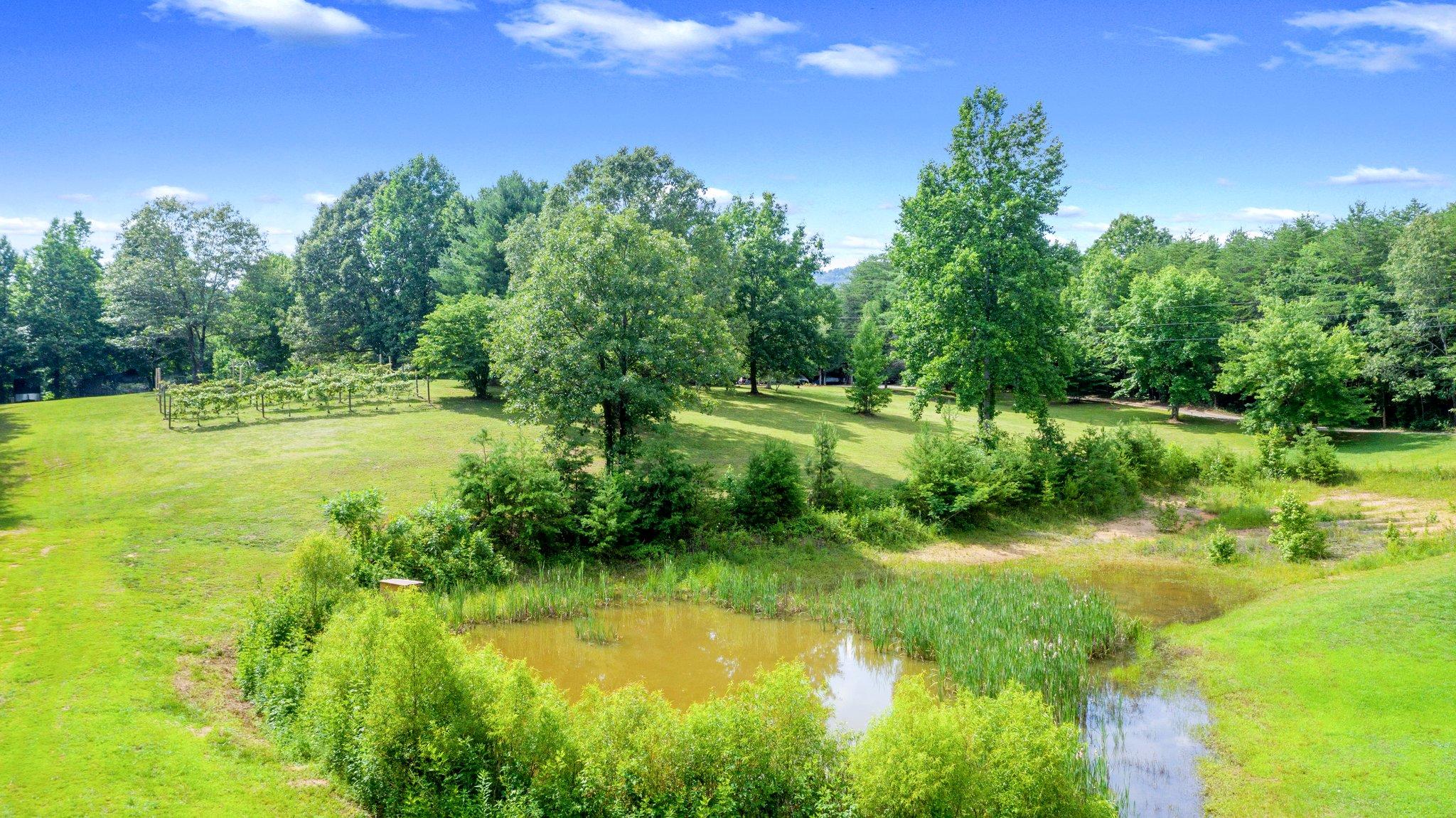 1678 Reliance Road Tellico Plains, TN 37385 - Photo 34 of 50 34