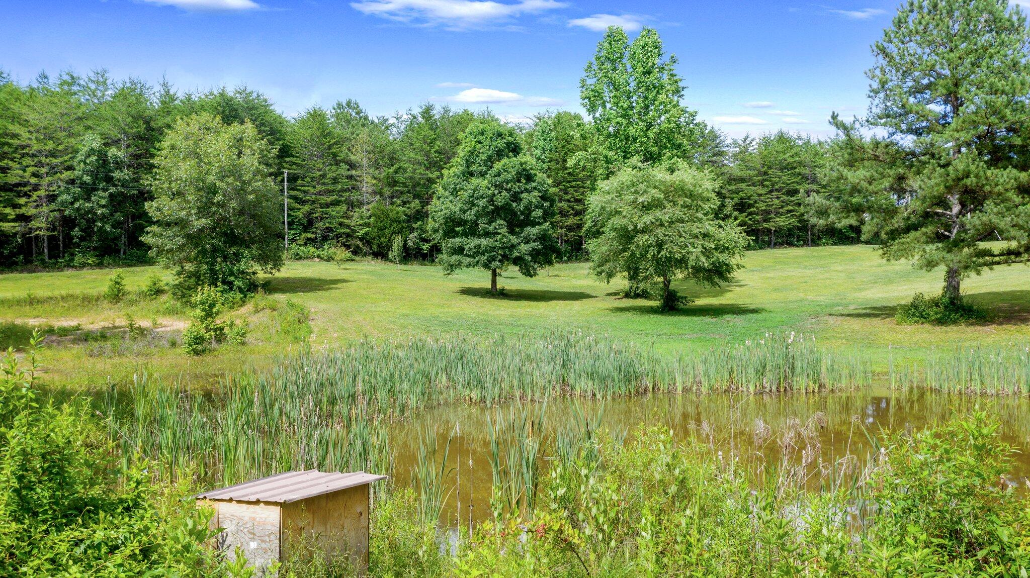 1678 Reliance Road Tellico Plains, TN 37385 - Photo 35 of 50 35