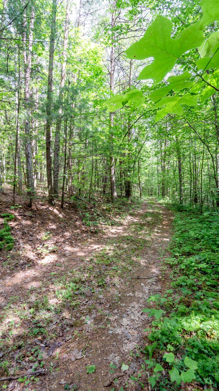 1678 Reliance Road Tellico Plains, TN 37385 - Photo 38 of 50 38