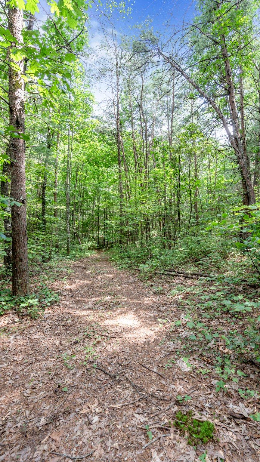 1678 Reliance Road Tellico Plains, TN 37385 - Photo 39 of 50 39