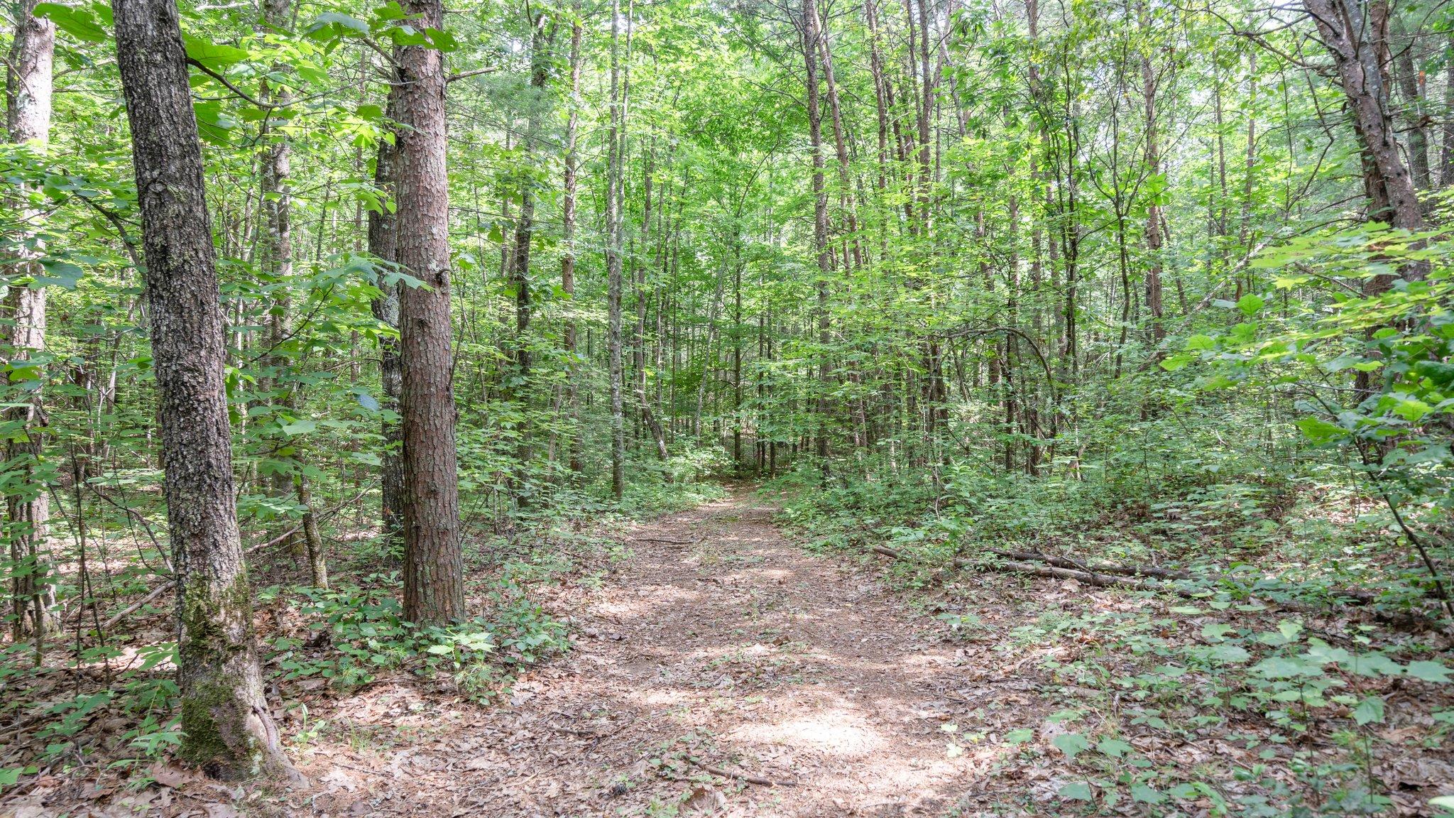 1678 Reliance Road Tellico Plains, TN 37385 - Photo 40 of 50 40