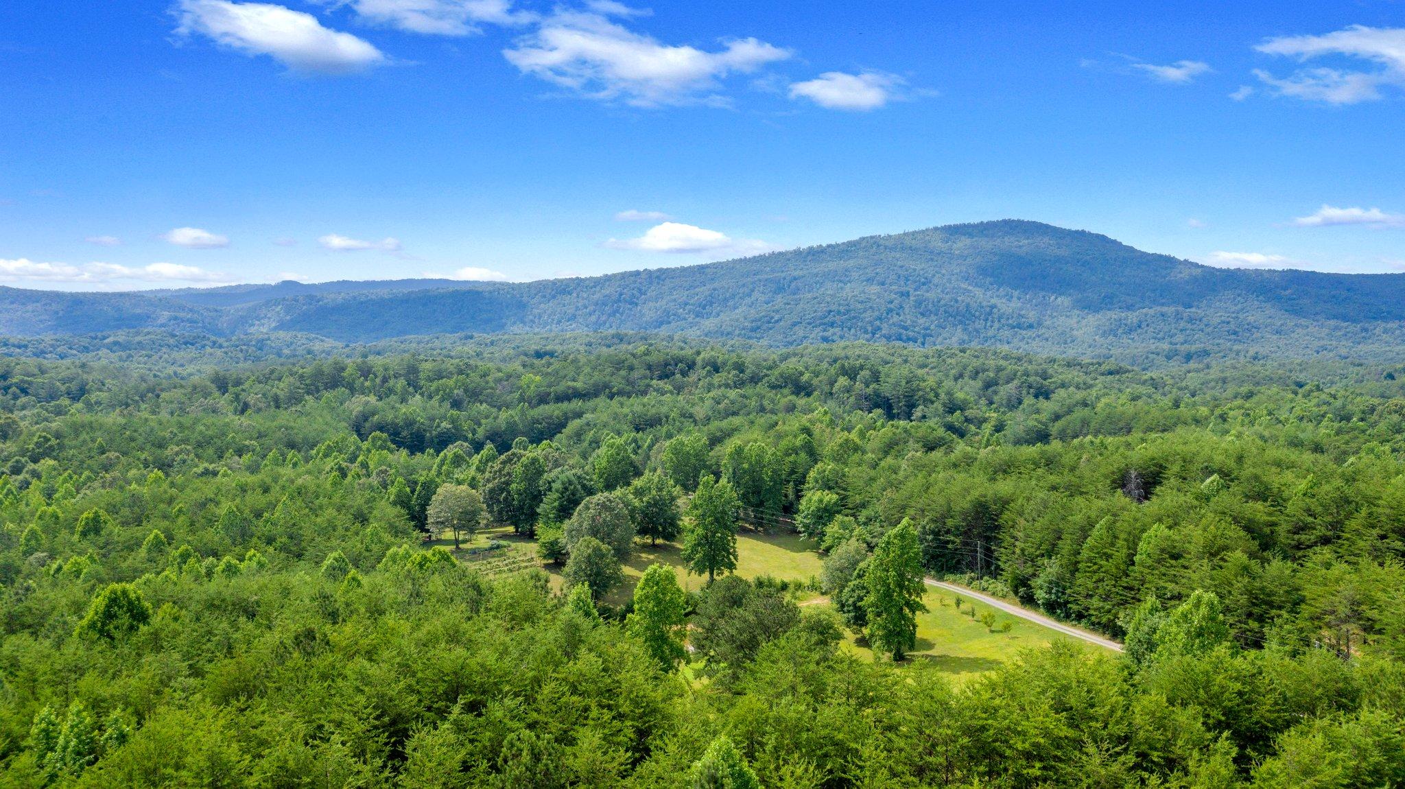 1678 Reliance Road Tellico Plains, TN 37385 - Photo 41 of 50 41