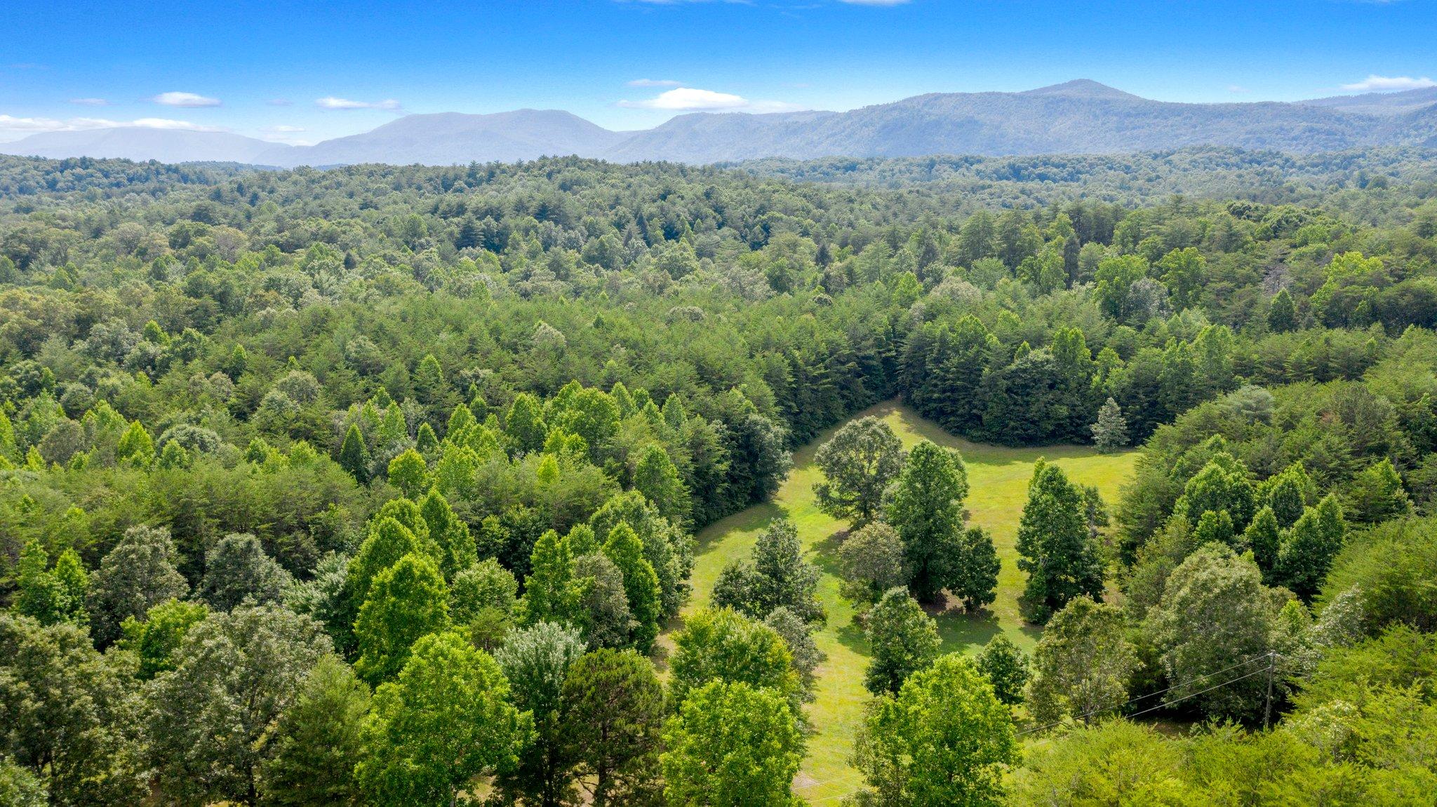 1678 Reliance Road Tellico Plains, TN 37385 - Photo 42 of 50 42