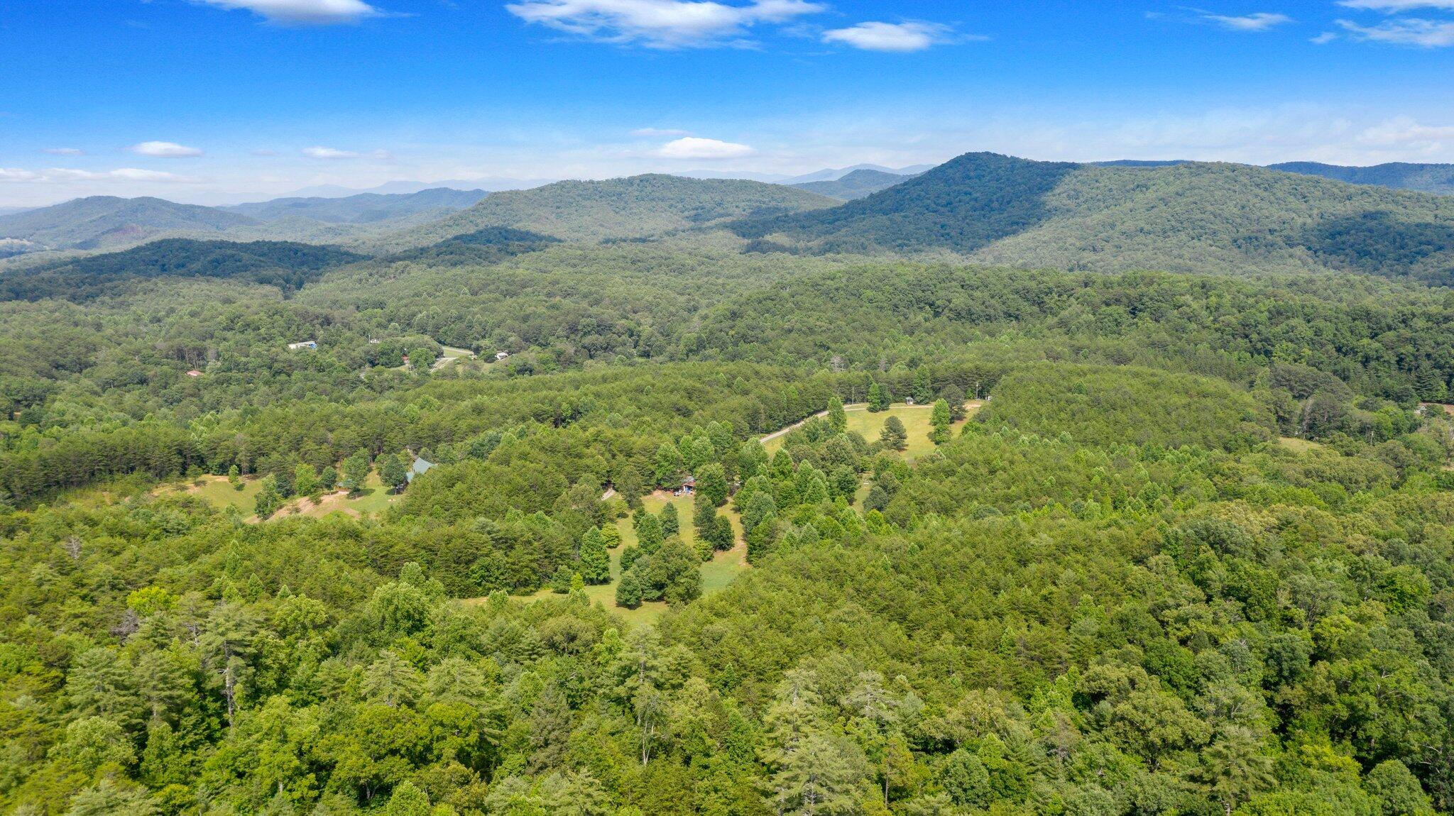 1678 Reliance Road Tellico Plains, TN 37385 - Photo 44 of 50 44
