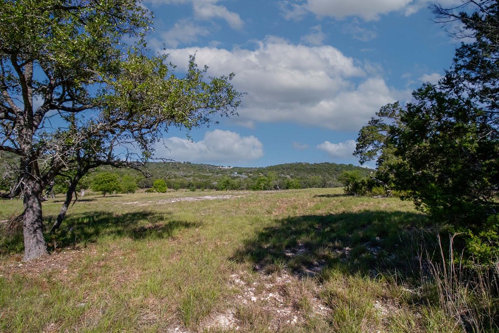 29 River Valley Road South Ingram, TX 78025 - Photo 3 of 21