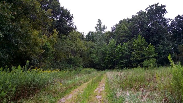 166 County Road Auxvasse, MO 65231 - Photo 1 of 27