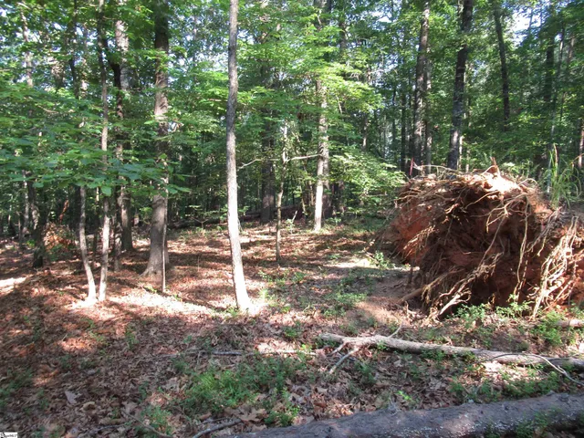 $70,000 | 0 Murphy Road, Unit 3 2 ACRES S SIDE MURPHY RD, Sunset, SC 29685