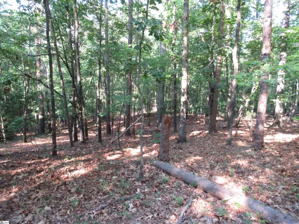 $70,000 | 0 Murphy Road, Unit 3 2 ACRES S SIDE MURPHY RD, Sunset, SC 29685