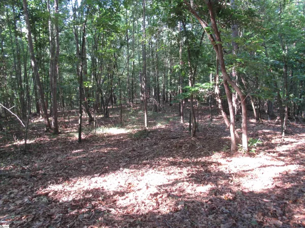 $70,000 | 0 Murphy Road, Unit 3 2 ACRES S SIDE MURPHY RD, Sunset, SC 29685