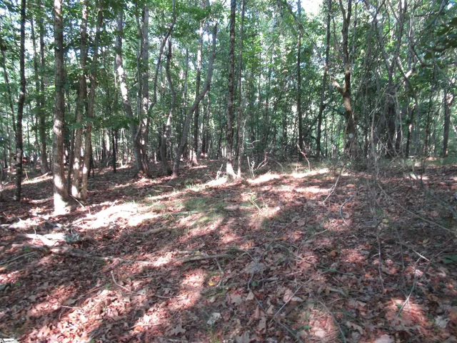 $70,000 | 0 Murphy Road, Unit 3 2 ACRES S SIDE MURPHY RD, Sunset, SC 29685