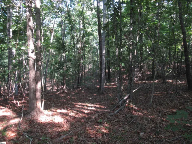 $70,000 | 0 Murphy Road, Unit 3 2 ACRES S SIDE MURPHY RD, Sunset, SC 29685