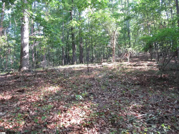 $70,000 | 0 Murphy Road, Unit 3 2 ACRES S SIDE MURPHY RD, Sunset, SC 29685
