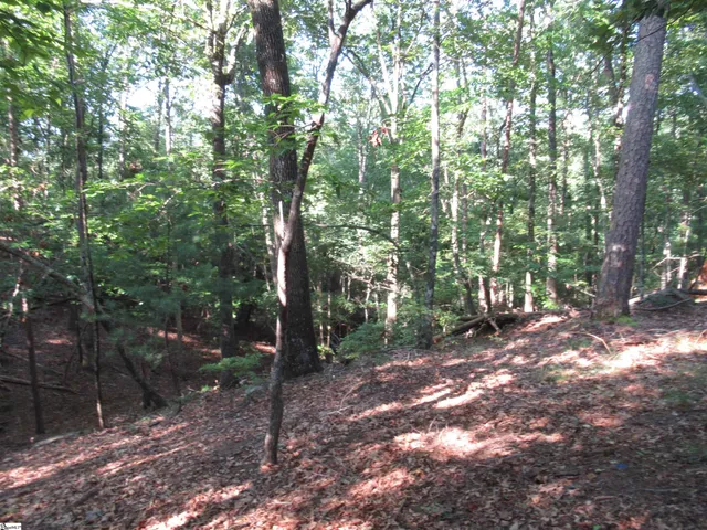 $70,000 | 0 Murphy Road, Unit 3 2 ACRES S SIDE MURPHY RD, Sunset, SC 29685