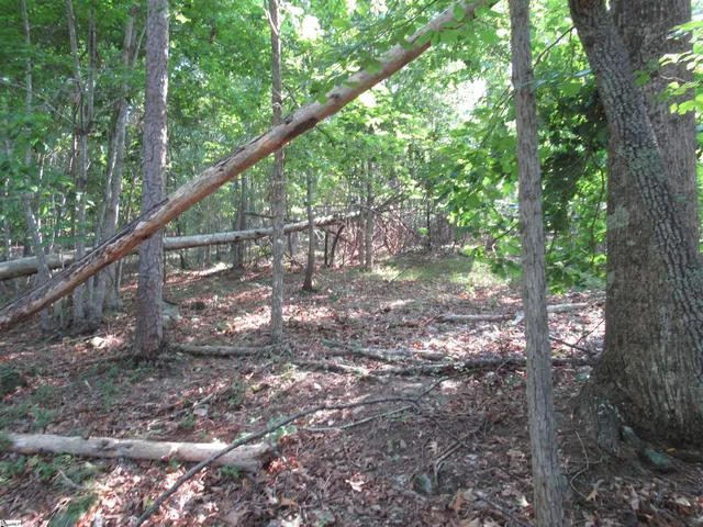 $70,000 | 0 Murphy Road, Unit 3 2 ACRES S SIDE MURPHY RD, Sunset, SC 29685