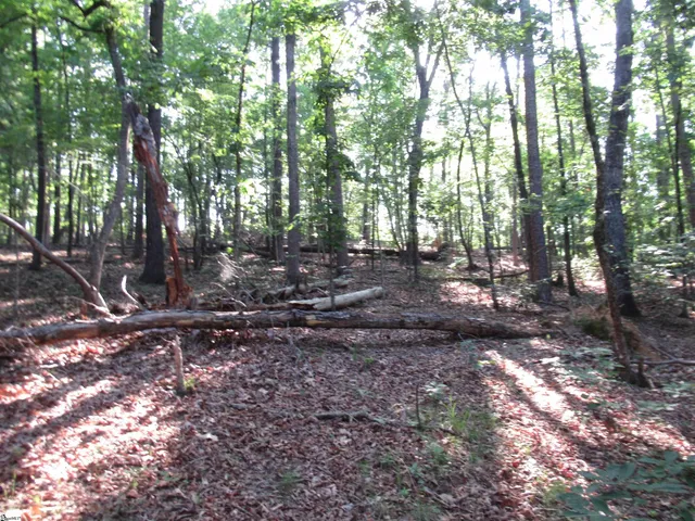 $70,000 | 0 Murphy Road, Unit 3 2 ACRES S SIDE MURPHY RD, Sunset, SC 29685